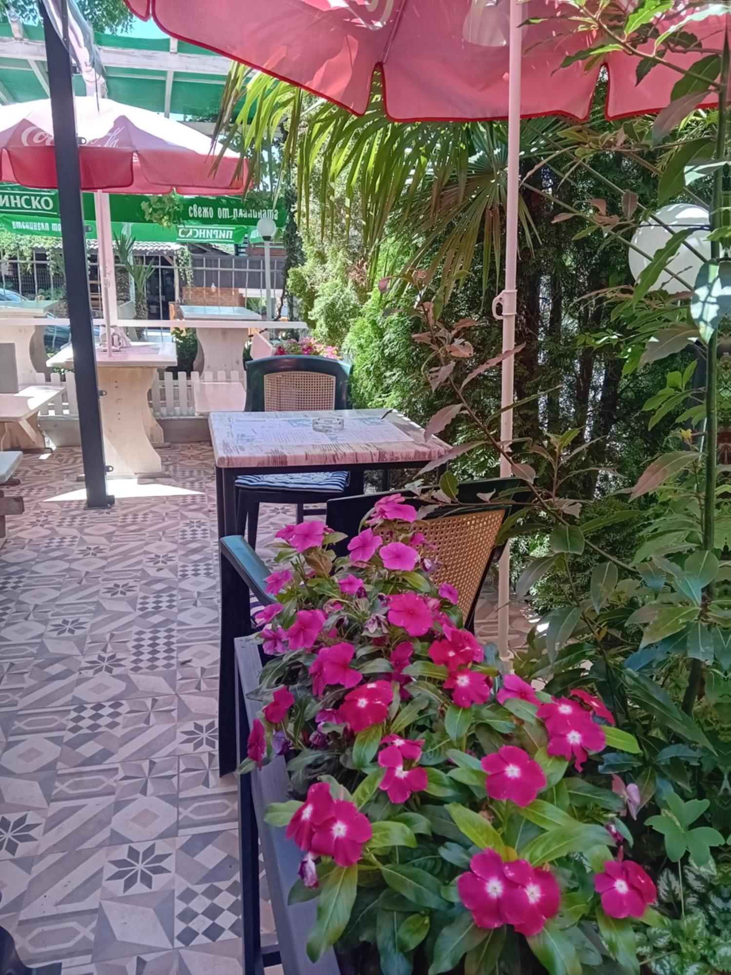 Guesthouse Oasis Kiten  Esterno foto